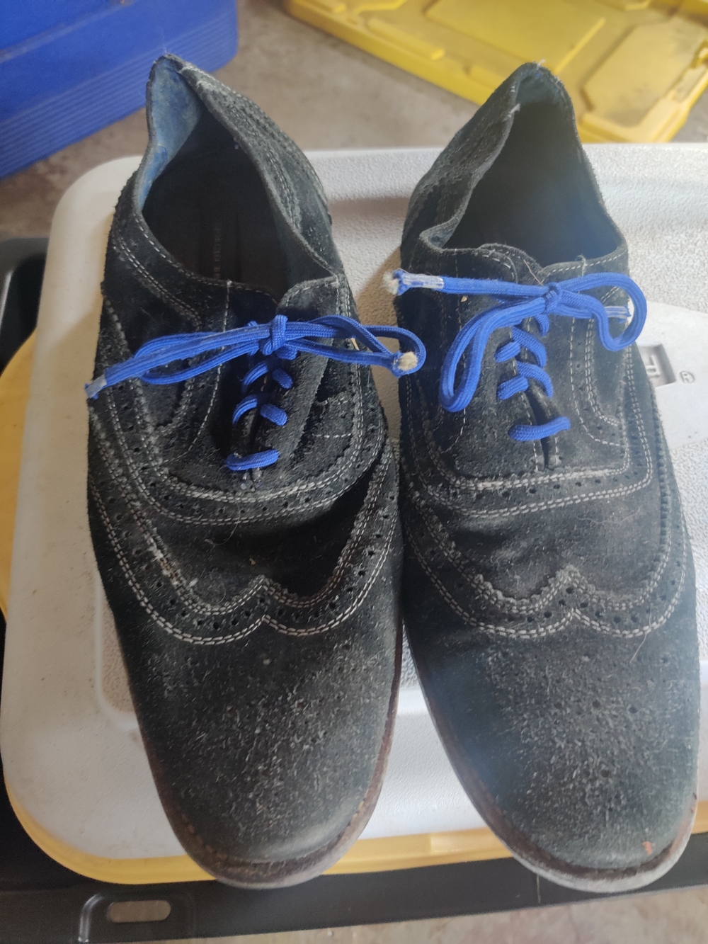 Men's Black Suede Wingtip Dress Shoes with Blue Laces